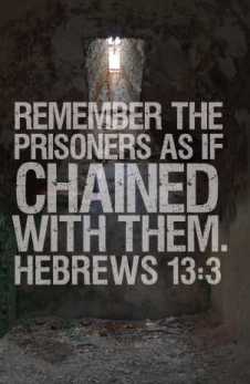 98edb8e0de3e5f09d3362c2c8d4ae3ee